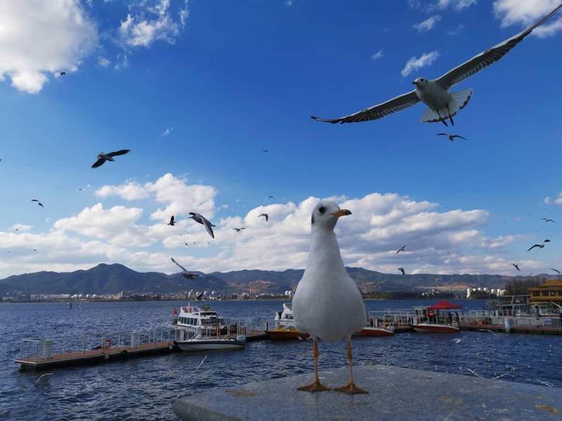  专业大洗牌：5年新增8600个点，你的学历还“值钱”吗？ 教育招生