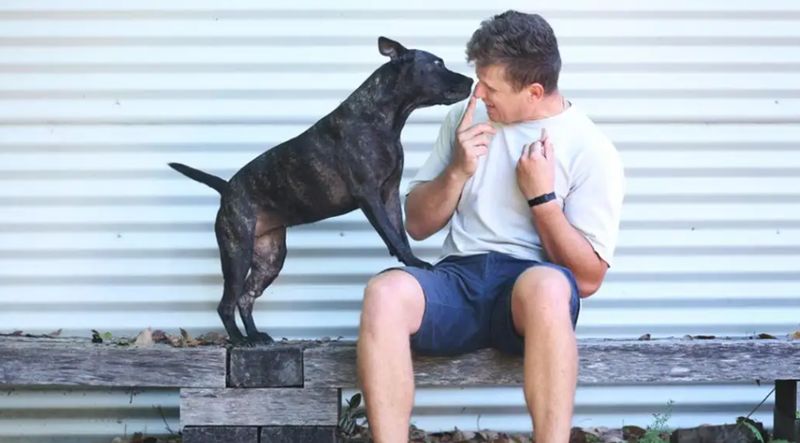  2025技术爆发点：AI与mRNA技术的协同进化路径 IT技术 2025技术爆发点：AI与mRNA技术的协同进化路径 IT技术