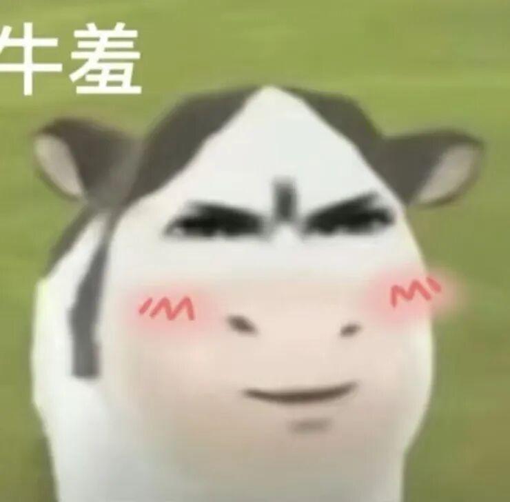  一条运河改变一座城：南宁迎来高光时刻背后的故事与期待 文化旅游