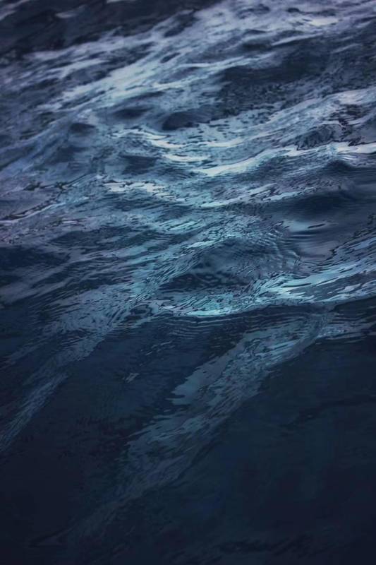  数据复盘：2025年长三角银行信贷格局深度解析 新闻