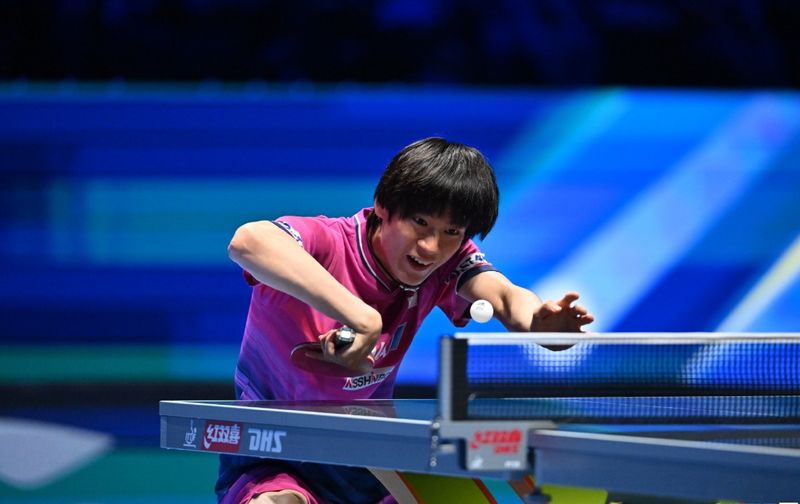  技术解码：澳门世界杯王楚钦逆转勒布伦的六大战术要点 体育新闻