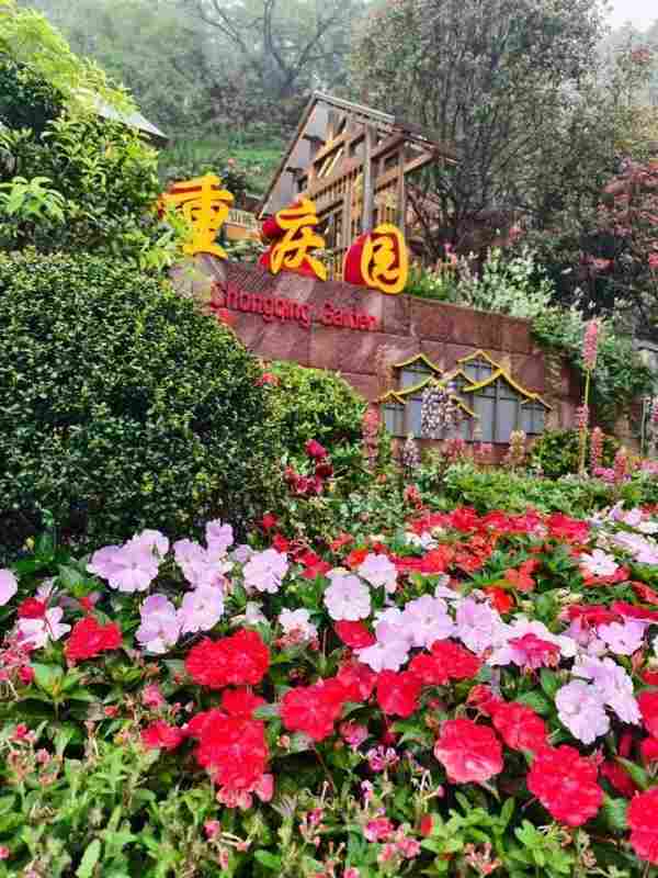  跨越山海的园林对话：当重庆的立体山城「折叠」进温州的山水斗城 文化旅游