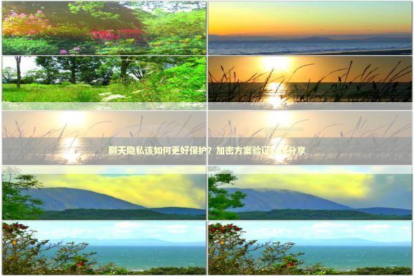 聊天隐私该如何更好保护？加密方案验证心得分享 新闻