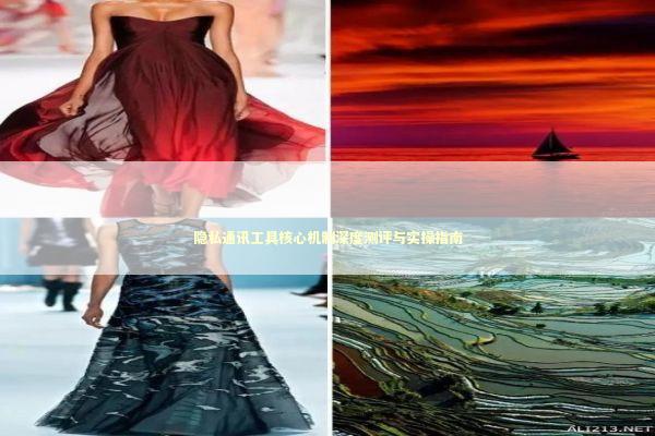 隐私通讯工具核心机制深度测评与实操指南 IT技术